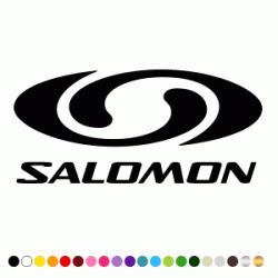 Stickers SALOMON LOGO 3