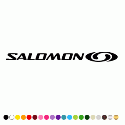 Stickers SALOMON LOGO 4