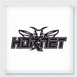 Stickers HORNET ABEILLE Stickers HORNET ABEILLE