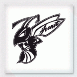 Stickers ABEILLE HORNET 2 Stickers ABEILLE HORNET 2