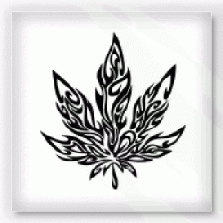 Stickers TRIBAL CANNABIS Stickers TRIBAL CANNABIS