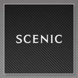 Stickers RENAULT SCENIC  Stickers RENAULT SCENIC