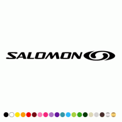 Stickers SALOMON LOGO 4 Stickers SALOMON LOGO 4