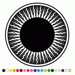 Stickers SOLEIL RAYONNANT ROYAL 3 Stickers SOLEIL RAYONNANT ROYAL 3