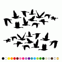 Stickers Migration d Stickers Migration d