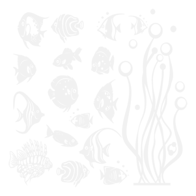 Stickers Aquarium Océan Indien Stickers Aquarium Océan Indien