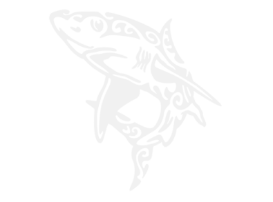 Stickers TRIBAL REQUIN 2 Stickers TRIBAL REQUIN 2