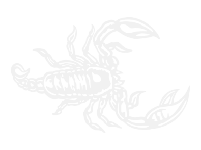 Stickers SCORPION 3 Stickers SCORPION 3