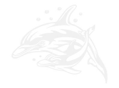 Stickers DAUPHIN 4 Stickers DAUPHIN 4