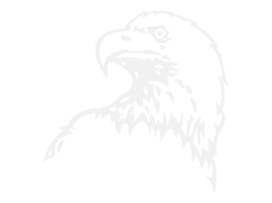 Stickers TETE AIGLE 1 Stickers TETE AIGLE 1
