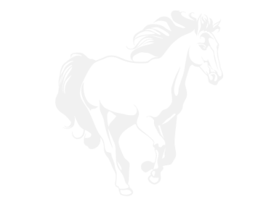 Stickers CHEVAL 5 Stickers CHEVAL 5