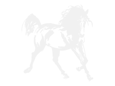 Stickers CHEVAL 8 Stickers CHEVAL 8