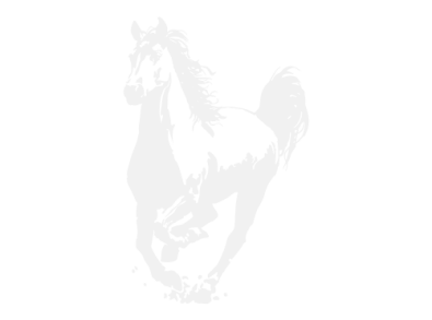 Stickers CHEVAL 9 Stickers CHEVAL 9