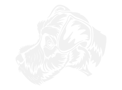 Stickers TETE CHIEN TRIBAL Stickers TETE CHIEN TRIBAL