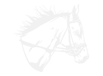 Stickers TETE DE CHEVAL 4 Stickers TETE DE CHEVAL 4