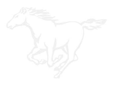 Stickers CHEVAL GALLOPER Stickers CHEVAL GALLOPER