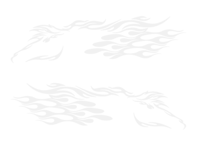 Stickers DECO FLAMME 016 Stickers DECO FLAMME 016