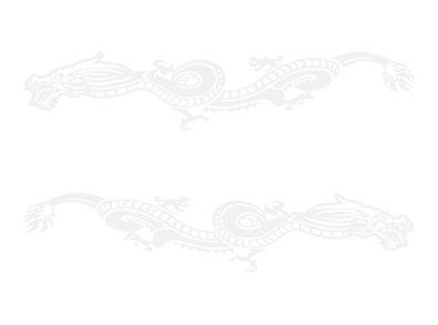Stickers DECO LATERAUX DRAGON 2 Stickers DECO LATERAUX DRAGON 2