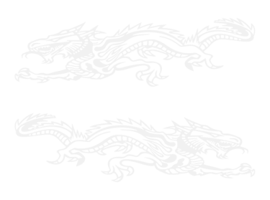 Stickers DECO LATERAUX DRAGON Stickers DECO LATERAUX DRAGON