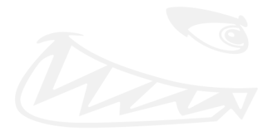 Stickers DENTS DE REQUIN Stickers DENTS DE REQUIN
