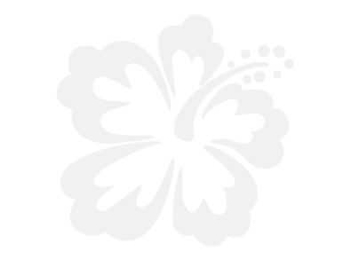 Stickers FLEUR HIBISCUS 13 Stickers FLEUR HIBISCUS 13