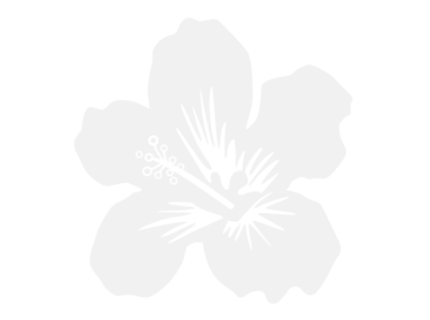 Stickers FLEUR HIBISCUS 22 Stickers FLEUR HIBISCUS 22