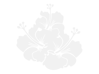 Stickers FLEUR HIBISCUS 23 Stickers FLEUR HIBISCUS 23