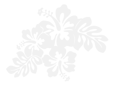 Stickers FLEUR HIBISCUS 25 Stickers FLEUR HIBISCUS 25