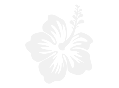 Stickers FLEUR HIBISCUS 5 Stickers FLEUR HIBISCUS 5