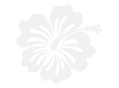 Stickers FLEUR HIBISCUS 7 Stickers FLEUR HIBISCUS 7