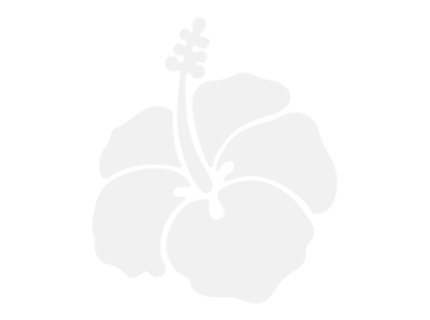 Stickers FLEUR HIBISCUS 9 Stickers FLEUR HIBISCUS 9