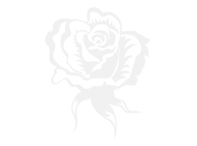 Stickers ROSE 3 Stickers ROSE 3