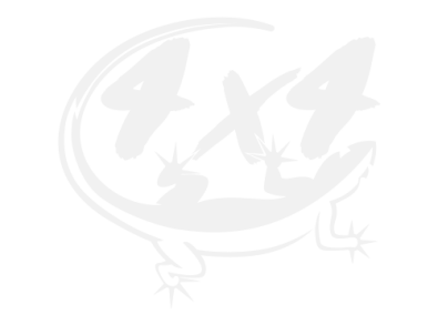 Stickers GECKO 4X4 Stickers GECKO 4X4