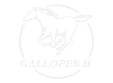 Stickers LOGO GALLOPER 2 Stickers LOGO GALLOPER 2