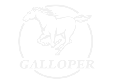 Stickers LOGO GALLOPER Stickers LOGO GALLOPER