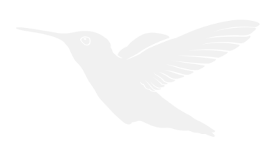 Stickers Silhouette Colibri Stickers Silhouette Colibri
