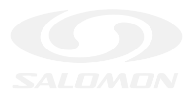Stickers SALOMON LOGO 3 Stickers SALOMON LOGO 3