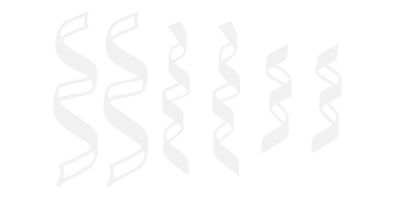 Stickers SUSPENSION SERPENTIN DE NOEL Stickers SUSPENSION SERPENTIN DE NOEL