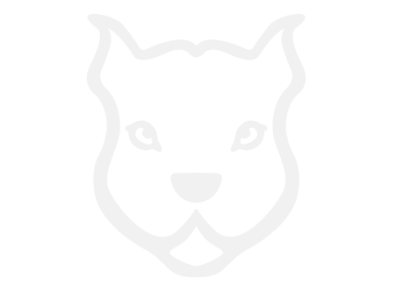 Stickers TETE PITBULL DESIGN Stickers TETE PITBULL DESIGN