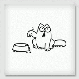 Stickers CHAT GAMELLE VIDE Stickers CHAT GAMELLE VIDE